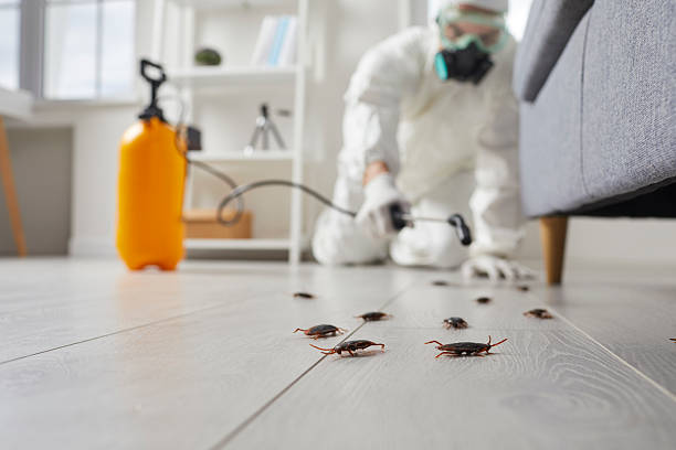 Commercial Kitchen Cockroach Control in Highland Falls